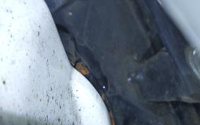 HONDA GYRO CANOPY 2007 TA03