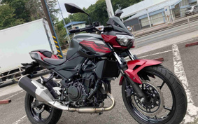 KAWASAKI Z250ABS EX250P