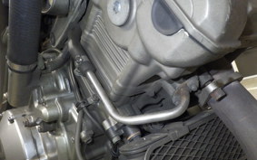 OTHER CAGIVA RAPTOR1000 2002