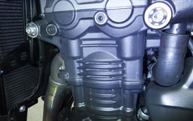 TRIUMPH SPEED TRIPLE RR 2022