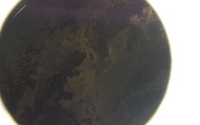 HARLEY FXSTS 1450 2000