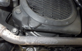 HONDA LEAD 110 JF19
