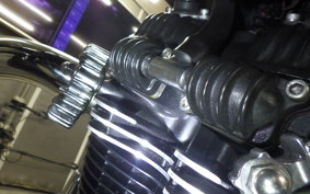 KAWASAKI W800 2018 EJ800A