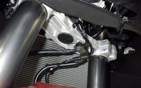 KAWASAKI NINJA 1000 SX 2022 ZXT02K