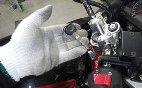 HONDA VTRF250 2005 MC33