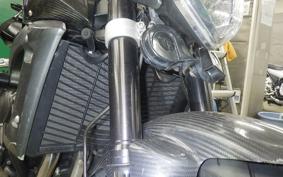 YAMAHA FZ1 FAZER 2008 RN21J