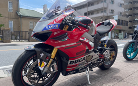 DUCATI PANIGA-REV4S 2018 DA00J