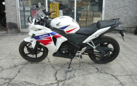 HONDA CBR250R MC41
