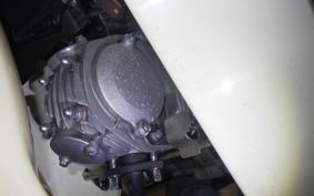 HONDA C110 SUPER CUB