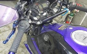 YAMAHA MT-25 2009 RG43J