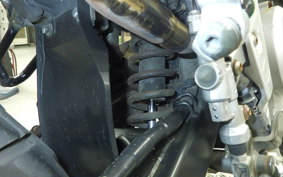 YAMAHA TRICKER DG10J