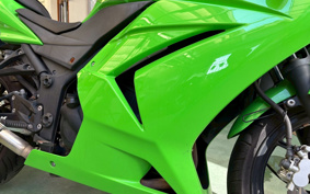 KAWASAKI NINJA 250R EX250K