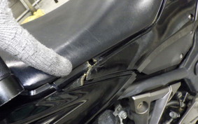 KAWASAKI NINJA 250 EX250L