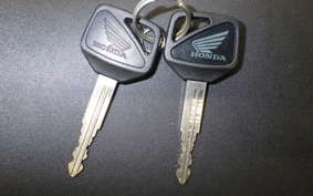 HONDA CBR1100XX 2002