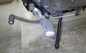 YAMAHA VIRAGO 250 2006 3DM