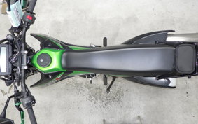 KAWASAKI KLX250D TRACKER X 2025 LX250V