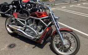 HARLEY VRSCAW 2009 HFH