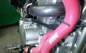 KAWASAKI KLX250 Gen.2 LX250S