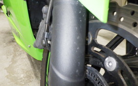 KAWASAKI NINJA 250 2019 EX250Y