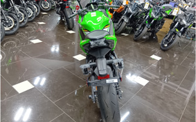 KAWASAKI NINJA 650 2025 ER650S