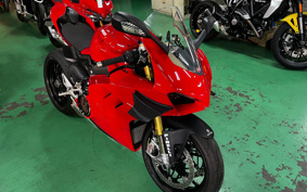 DUCATI PANIGA-REV4S 2021 1D00