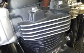 TRIUMPH BONNEVILLE T100 2024