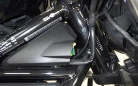 HARLEY RH975 2022
