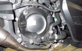 HONDA FORZA 250 MF17