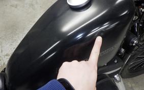 HARLEY XL883N 2010