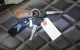 HONDA REBEL 250 A 2015 MC49