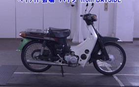OTHER  BIRDIE 80E