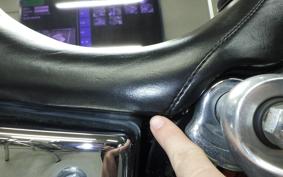 HARLEY FXDL 1580 2011