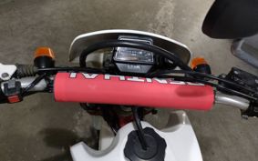 YAMAHA TT250 1LN