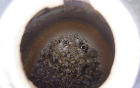 HONDA C50 SUPER CUB C50