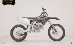 TRIUMPH TF250-X