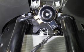 YAMAHA YZF R-3 2025