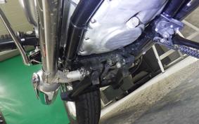 KAWASAKI W800 2024 EJ800E