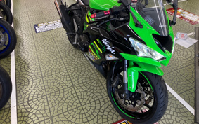 KAWASAKI NINJA ZX-6R 2019 ZX636G