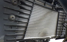 YAMAHA MT-25 A RG74J
