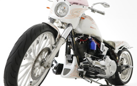 HARLEY FLSTF1340-1450 1998 BML