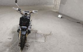 HONDA ZUMAR AF58