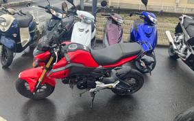 HONDA GROM JC61