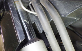 HONDA LEAD 110 2026 JF19