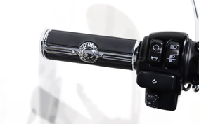 HARLEY FXBR 2019 YEJ