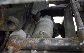 OTHER +UNREGISTERED MODEL by BDS TRIKE200