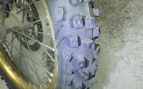 SUZUKI RM250