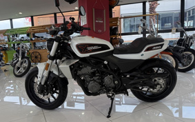 HARLEY X350 2024 W3C