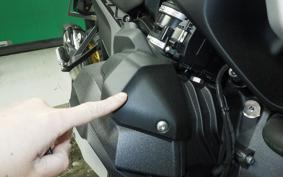 BMW R1300GS 2024