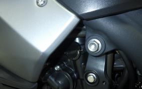 TRIUMPH TIGER 1050 2009