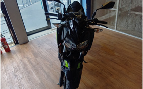KAWASAKI Z250 EX250P
